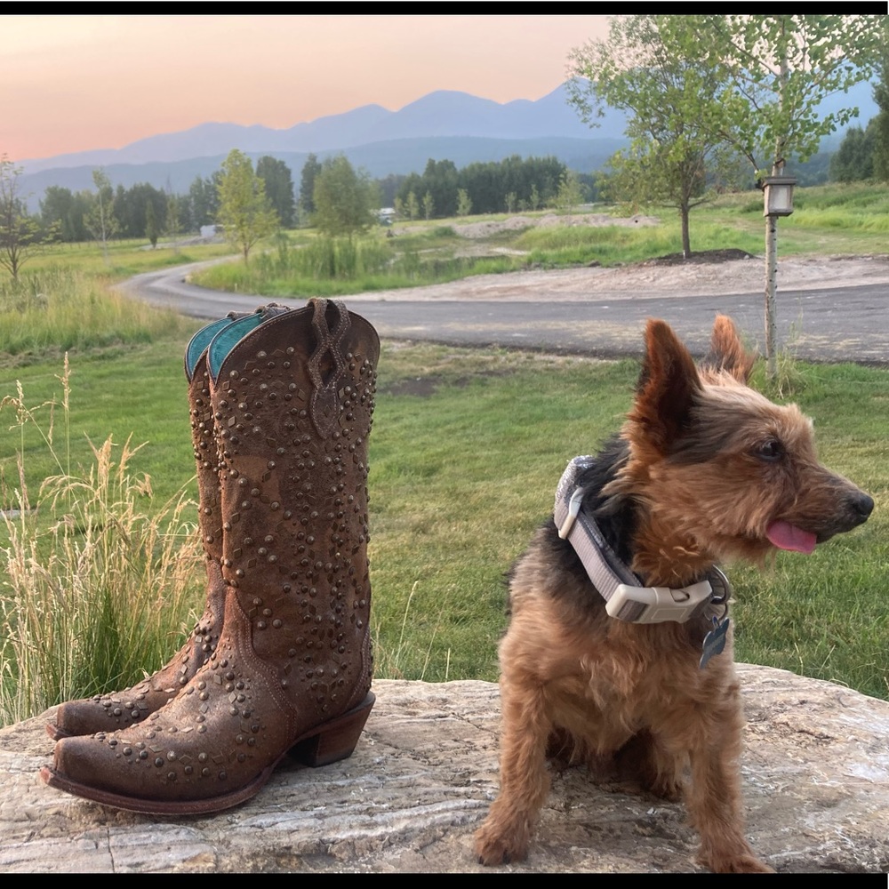 SOLD!!
Cawgirl Western Corral like knew boots. SOLD!
